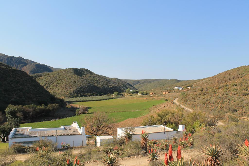 Matjiesvlei Guestfarm Villa Calitzdorp Exterior photo